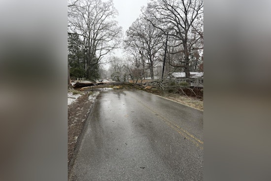 Signal Mountain Residents Advised to Reroute as Fallen Trees Cause Disruptions and Power Line Hazards