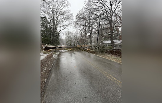Signal Mountain Residents Advised to Reroute as Fallen Trees Cause Disruptions and Power Line Hazards
