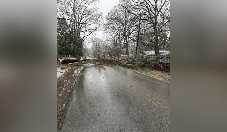 Signal Mountain Residents Advised to Reroute as Fallen Trees Cause Disruptions and Power Line Hazards