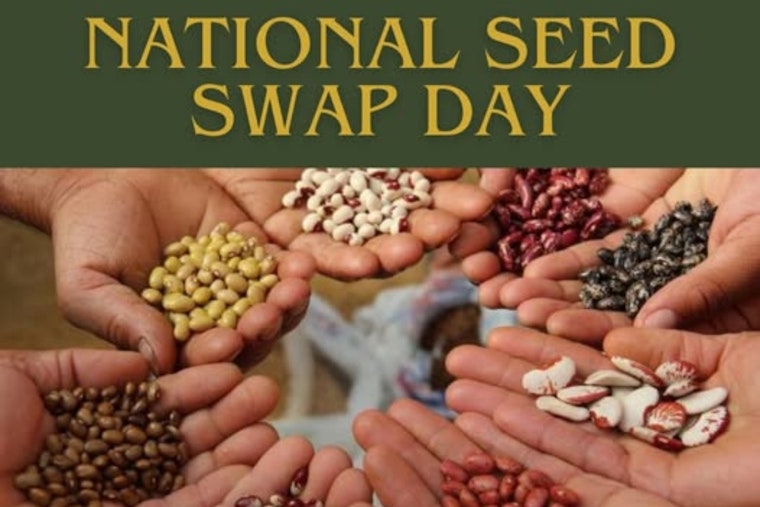 South Euclid Hosts National Seed Swap Day Event to Foster Gardening and Community Connections