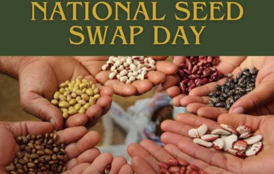 South Euclid Hosts National Seed Swap Day Event to Foster Gardening and Community Connections