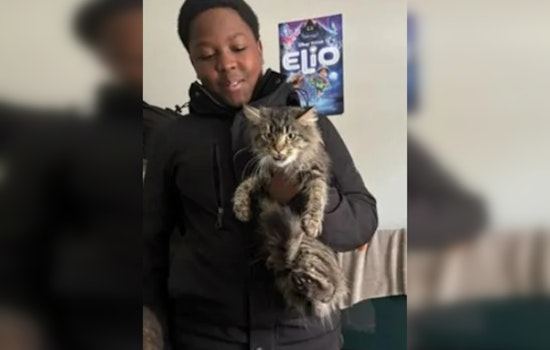 South Side Search: Chicago Cops Race To Find Missing Englewood 12-Year-Old