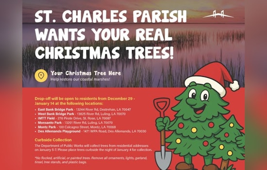St. Charles Parish Calls for Christmas Tree Recycling to Aid Marshland Erosion Control