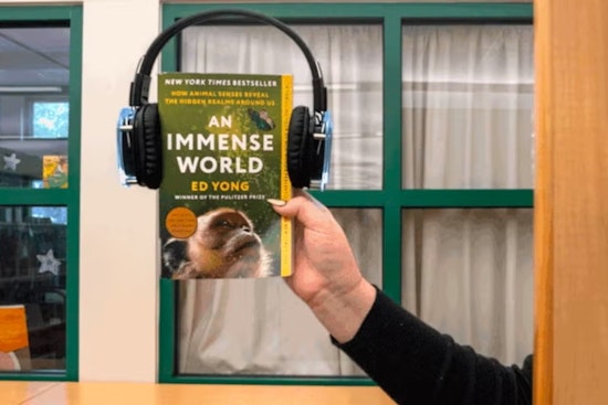 St. Johns County Library Hosts Silent Disco Finale for St. Johns Reads at St. Augustine Amphitheatre