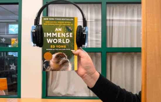 St. Johns County Library Hosts Silent Disco Finale for St. Johns Reads at St. Augustine Amphitheatre