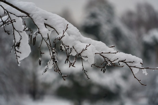 St. Louis Forecast — Light Snow and Cold Winds Today, Clearing Skies Expected