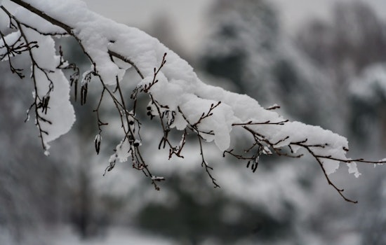 St. Louis Forecast — Light Snow and Cold Winds Today, Clearing Skies Expected