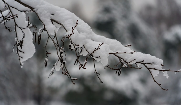 St. Louis Forecast — Light Snow and Cold Winds Today, Clearing Skies Expected