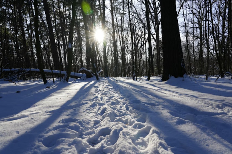 St. Louis on Alert as NWS Issues Extreme Cold Warning With Wind Chills Near 22 Below Zero