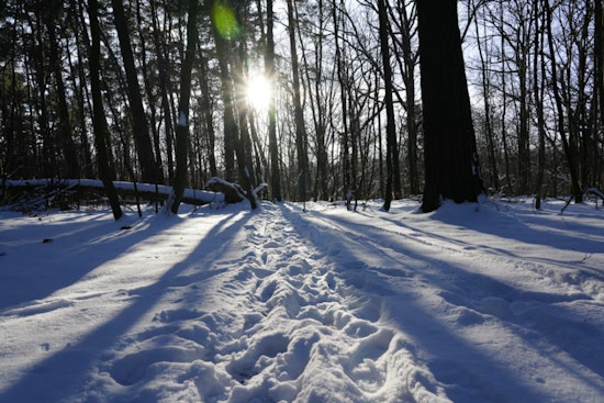 St. Louis on Alert as NWS Issues Extreme Cold Warning With Wind Chills Near 22 Below Zero