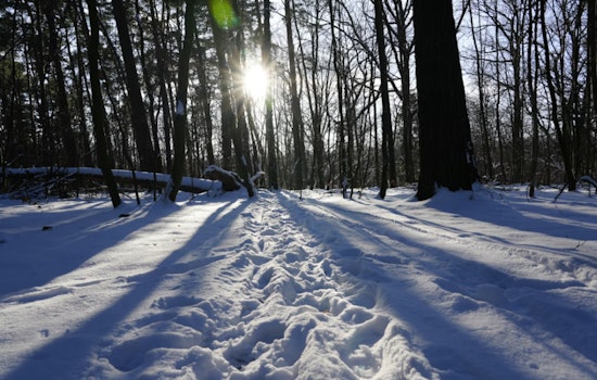 St. Louis on Alert as NWS Issues Extreme Cold Warning With Wind Chills Near 22 Below Zero