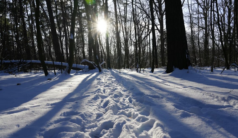 St. Louis on Alert as NWS Issues Extreme Cold Warning With Wind Chills Near 22 Below Zero
