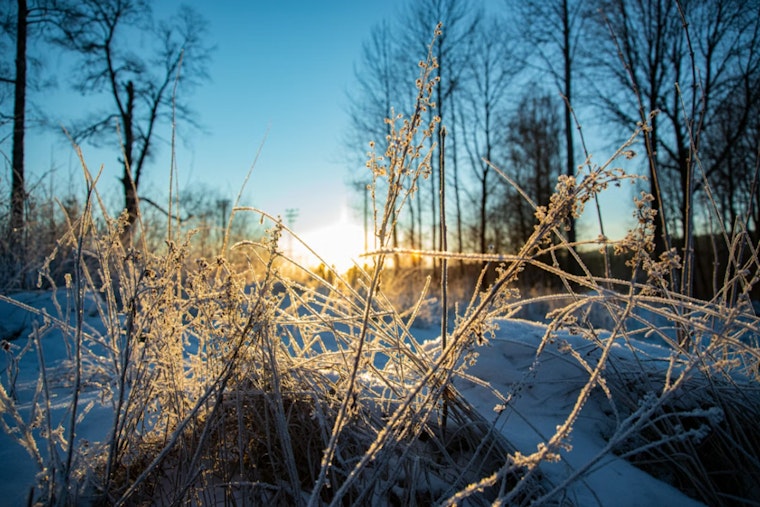 St. Louis Warned of Extreme Cold and Dangerous Wind Chills This Weekend by National Weather Service