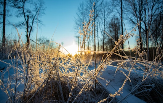 St. Louis Warned of Extreme Cold and Dangerous Wind Chills This Weekend by National Weather Service