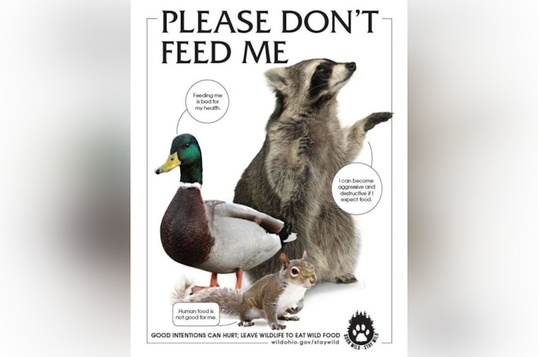 St. Peters Health Department Urges Residents to Stop Feeding Wildlife to Protect Animal Health and Neighborhood Safety