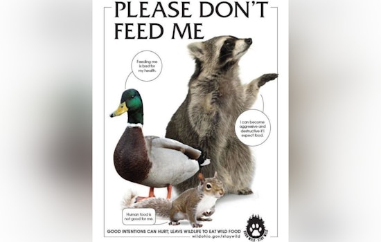 St. Peters Health Department Urges Residents to Stop Feeding Wildlife to Protect Animal Health and Neighborhood Safety