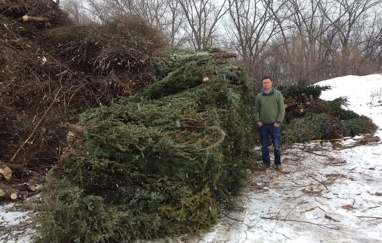 St. Louis Park Offers No-Cost Christmas Tree Disposal to Foster Eco-Friendly Post-Holiday Clean-Up