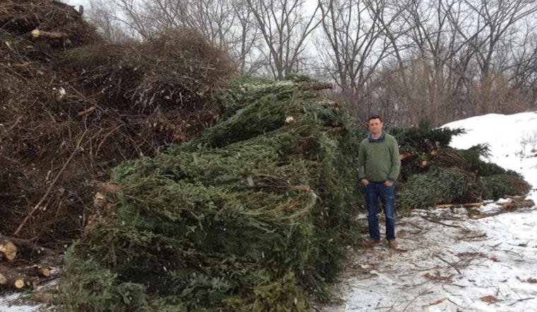 St. Louis Park Offers No-Cost Christmas Tree Disposal to Foster Eco-Friendly Post-Holiday Clean-Up