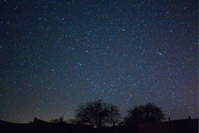 Starry Delight: Arlington's O.S. Gray Natural Area Hosts Free Annual Star Party on Feb. 7