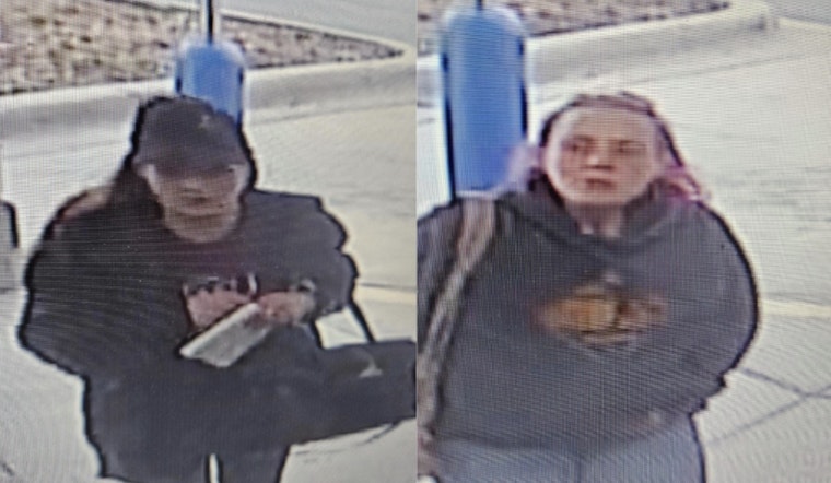 Statesville Police Seek Public's Help to Identify Suspects in CVS Larceny Case