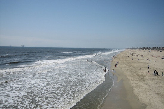 Stingray Stings Surge at Huntington Beach as Lifeguards Sound Alarm