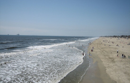 Stingray Stings Surge at Huntington Beach as Lifeguards Sound Alarm
