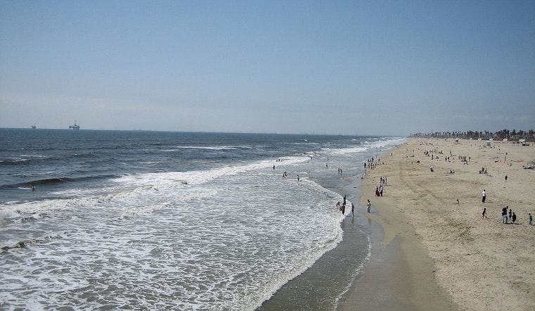 Stingray Stings Surge at Huntington Beach as Lifeguards Sound Alarm