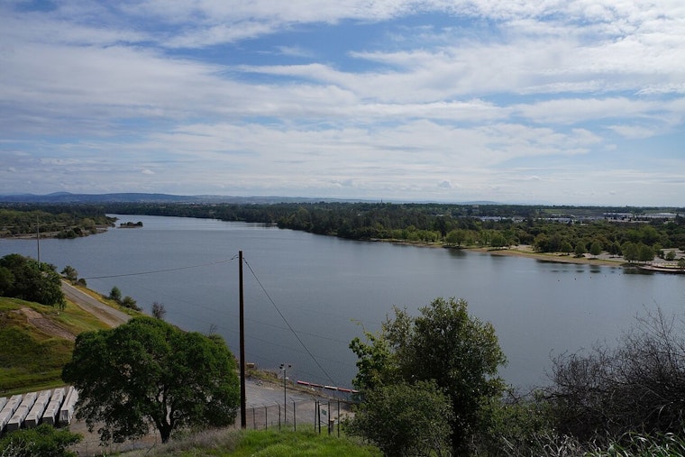 Storm Fells Tree Toppling Beloved Bald Eagle Nest at Lake Natoma as Eagles Remain Safe