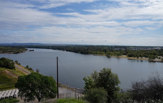 Storm Fells Tree Toppling Beloved Bald Eagle Nest at Lake Natoma as Eagles Remain Safe