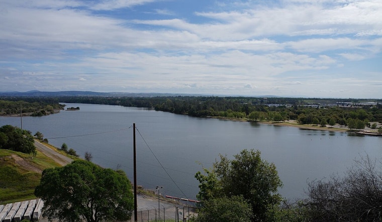 Storm Fells Tree Toppling Beloved Bald Eagle Nest at Lake Natoma as Eagles Remain Safe