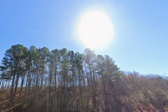 Sunny Skies and Mild Temperatures Greet Raleigh Residents, Rain Looms for the Weekend