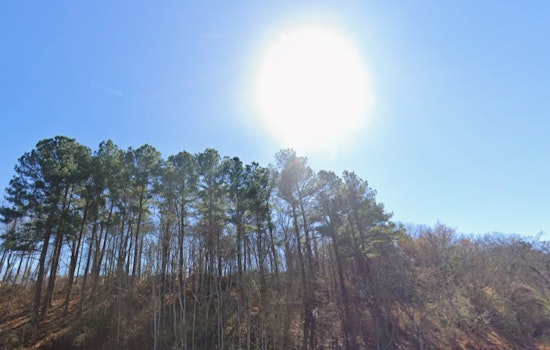 Sunny Skies and Mild Temperatures Greet Raleigh Residents, Rain Looms for the Weekend