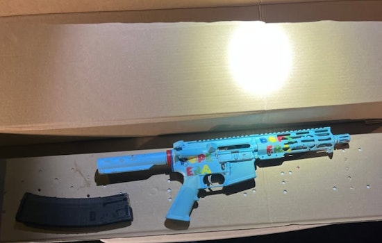 Suspected DUI Stop in Brentwood Escalates to Fatal Shooting as Man Grabs Rifle