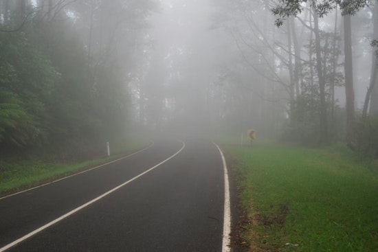 Tampa Bay Area Under Dense Fog Advisory and High Rip Current Risk, NWS Warns