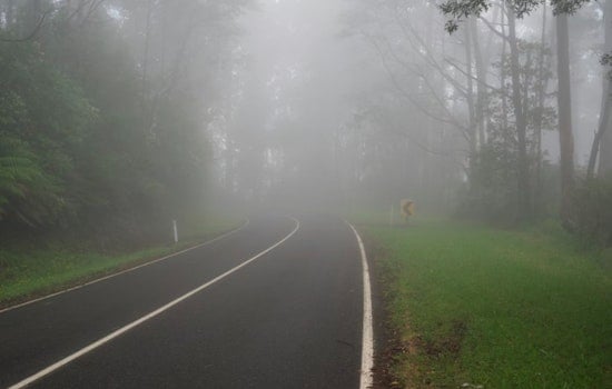 Tampa Bay Area Under Dense Fog Advisory and High Rip Current Risk, NWS Warns