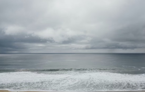 Tampa on High Alert as Wind Advisory, Freeze Warning, and Coastal Hazards Threaten Area