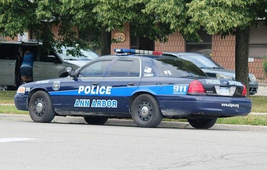 Teen Charged With Making Terroristic Threats Against Ann Arbor Elementary School