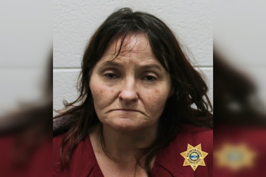 Telford Woman Charged with Meth Possession After Vehicle Stop in Jonesborough