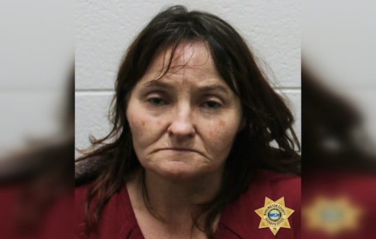 Telford Woman Charged with Meth Possession After Vehicle Stop in Jonesborough