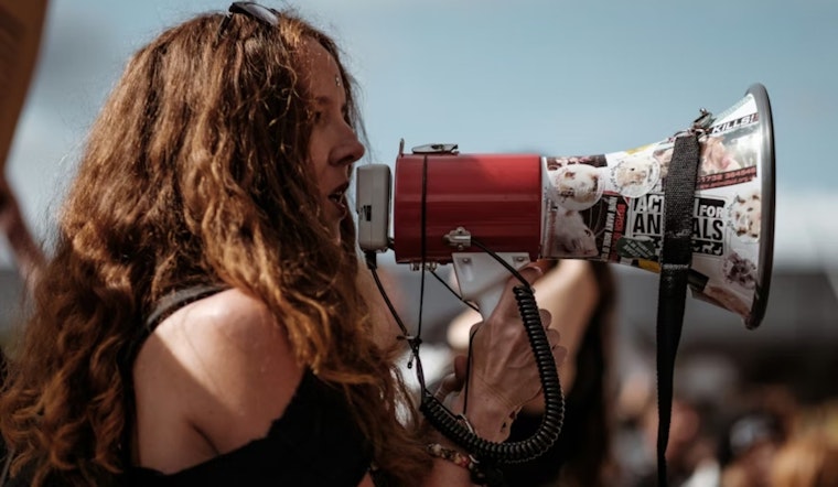 Tesla Showroom Turns Protest Hot Spot as SF Crowd Demands Justice for Renee Good