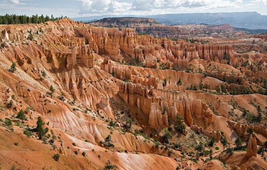 Texas Couple Found Dead In Bryce Canyon After Overnight Search