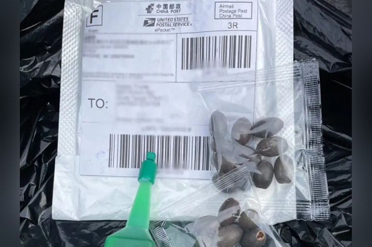 Texas Warns Against Mysterious Seed Packets in Mailboxes Amid Ecological Threat Concerns