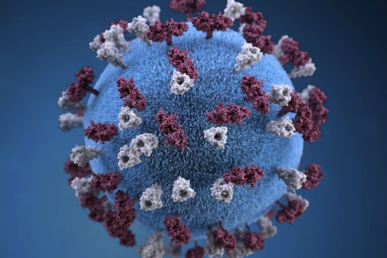 Third Measles Case Confirmed in Mecklenburg County as Public Exposure Notice Issued