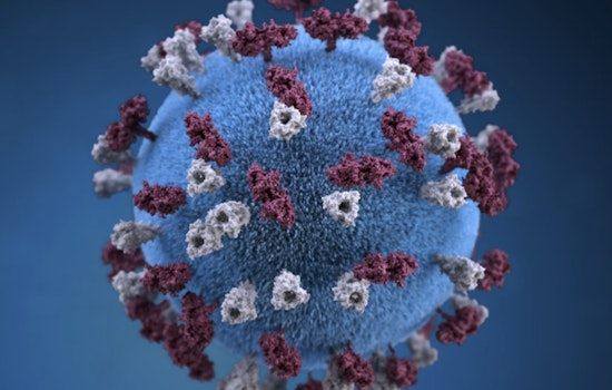 Third Measles Case Confirmed in Mecklenburg County as Public Exposure Notice Issued