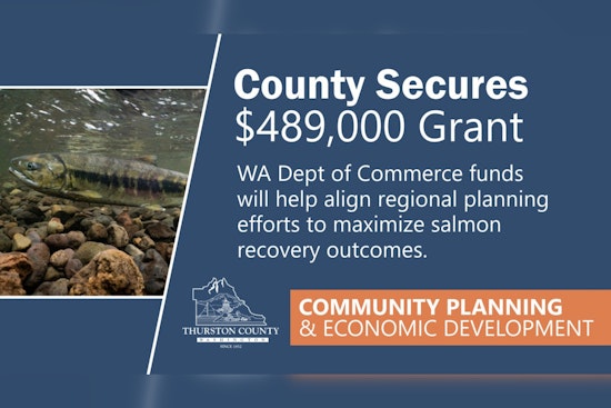 Thurston County Awarded $489K to Boost Salmon Recovery Efforts in South Puget Sound