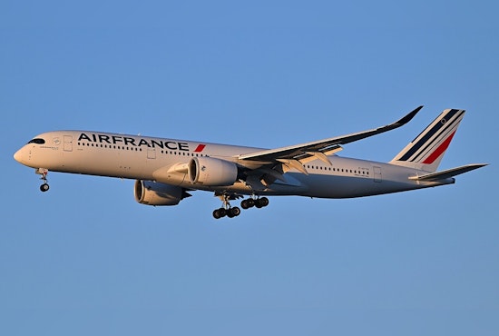 Ticketless 'Citizen of the World' Busted After Sneaking Onto Phoenix Air France Flight