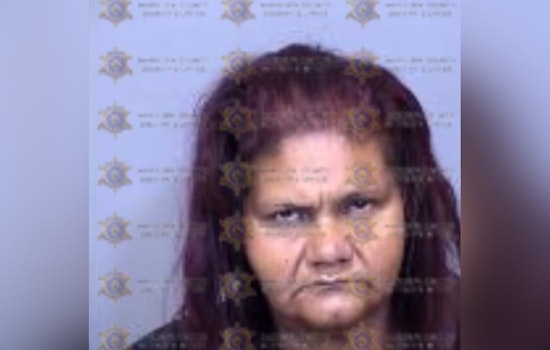Tips From Locals Lead Cops To Phoenix Woman In Fatal Hance Park Stabbing