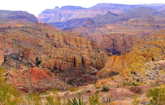 Tonto National Forest to Initiate Prescribed Burns in Cave Creek Ranger District to Mitigate Wildfire Risks
