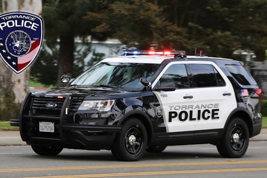 Torrance Police Nab Two Suspects Allegedly Setting Up Hidden Cameras for Burglaries