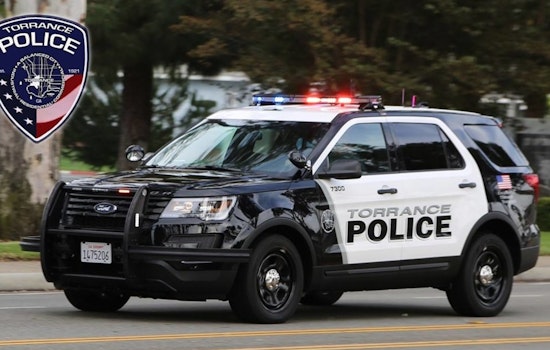 Torrance Police Nab Two Suspects Allegedly Setting Up Hidden Cameras for Burglaries